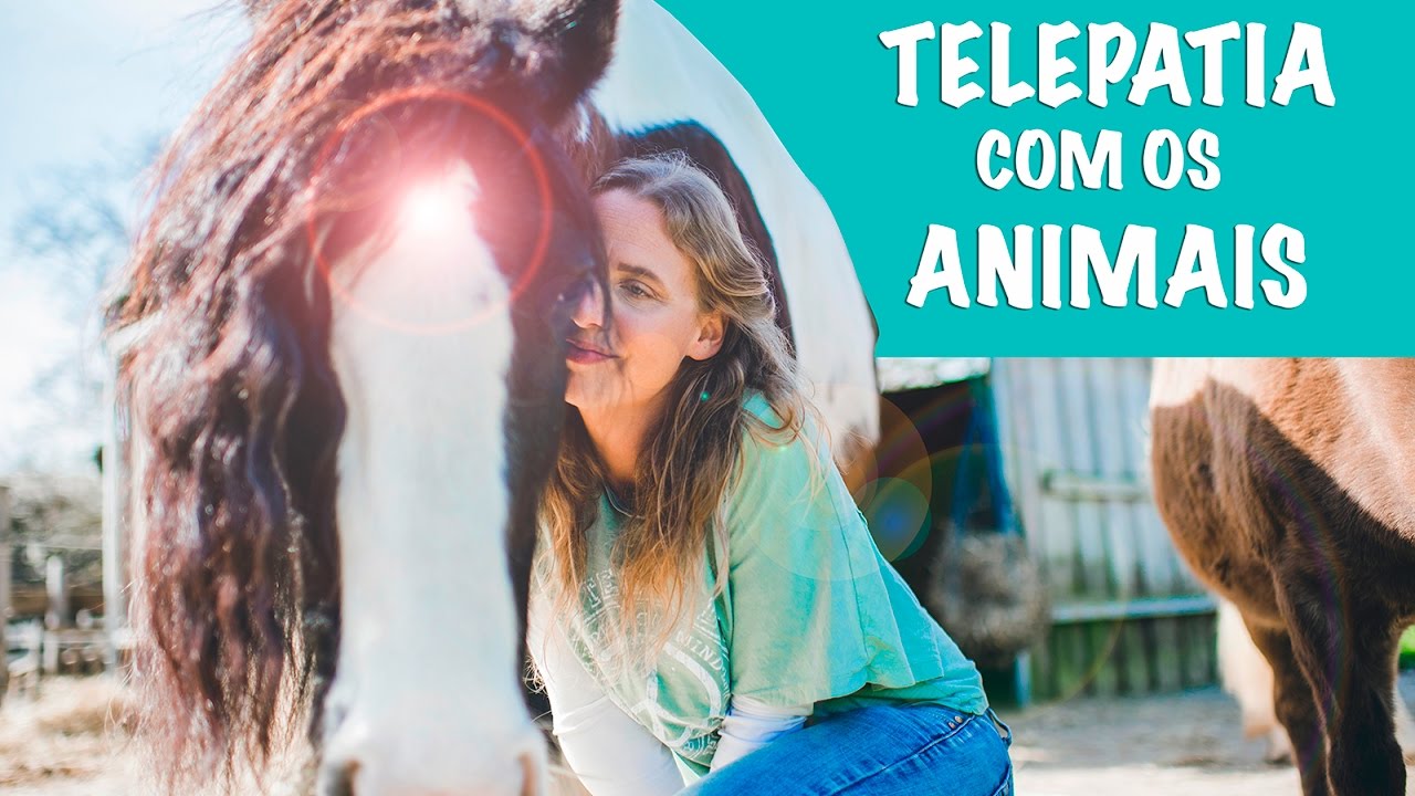 TELEPATIA COM OS ANIMAIS! Comunicação com animais de estimação