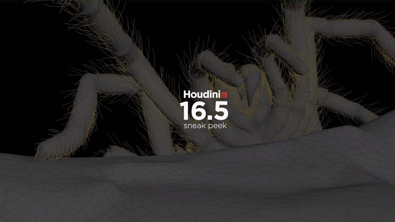 Houdini 16.5 Sneak Peek