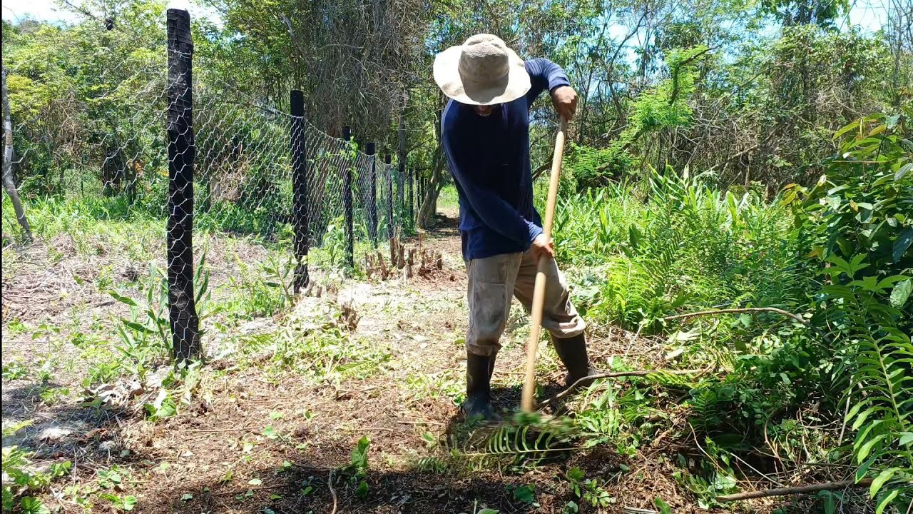 Comecei cavar um poço e terminei a limpeza da cerca.#roça #agricultura #plantas #fazenda #natureza .