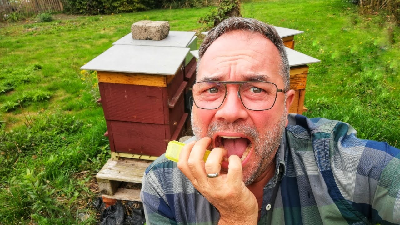 Jeter sa meilleure reine dans l'arène - Apiculture S02E22