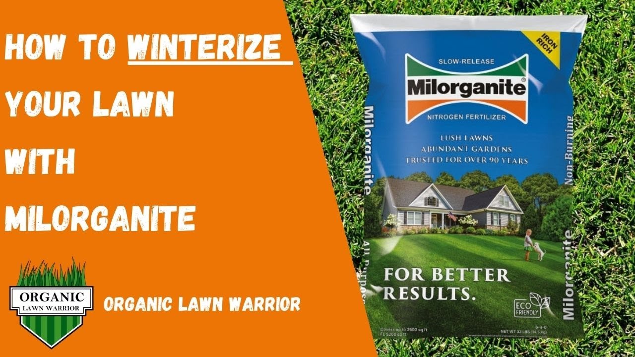 How to Winterize Your Lawn with Milorganite