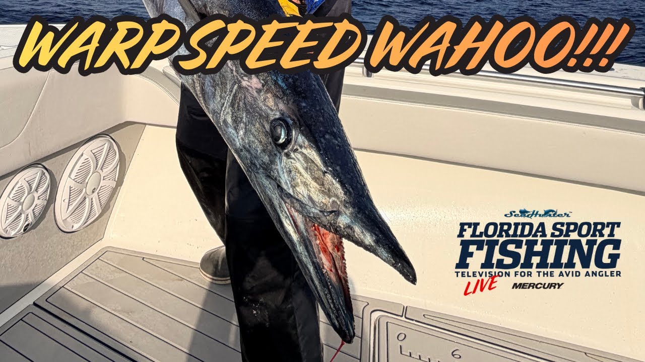 Сверхскоростная рыбалка на ваху | Прямая трансляция с канала Florida Sport Fishing TV – Флорида-Кис