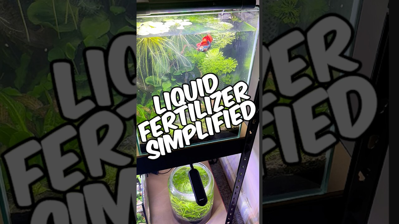 Are Liquid Fertilizers Even Worth The Money? - Aquarium Liquid Fertilizers Simplified For Beginners!