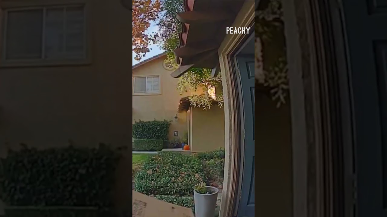 My son literally creates his own problems! 😂 #fails #CCTV #funny #moms #shorts