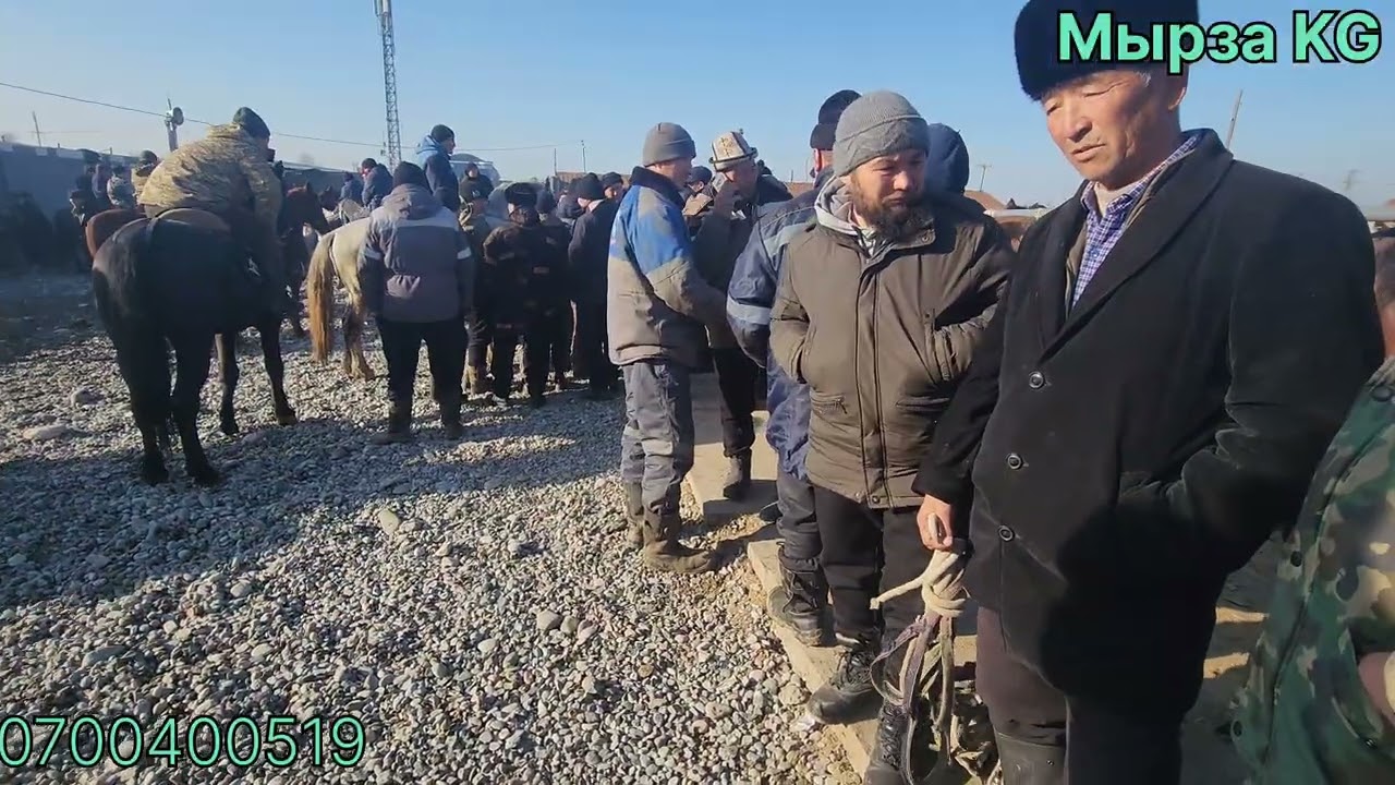 Базар коргон Жылкы базары 1 февраль 2026жыл 