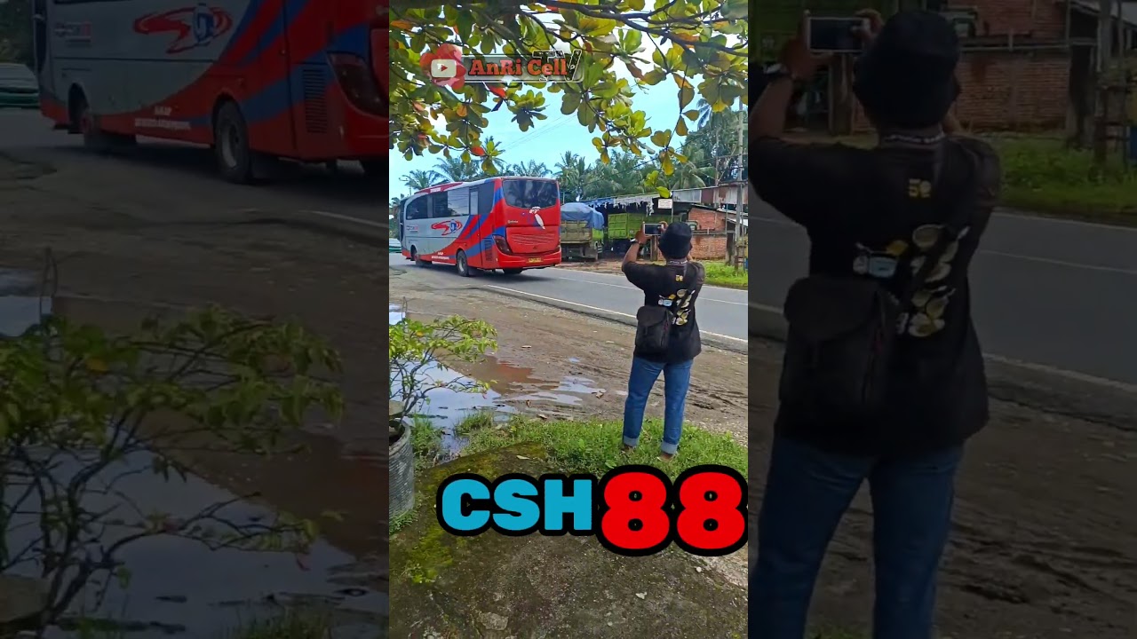 CSH88 Bang Dedi Sekar baru masuk Bengkulu #csh88 #busmania #penyubalap