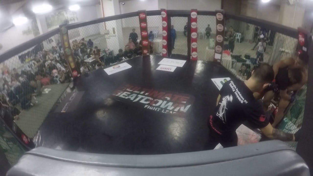 Ultimate Beatdown 29   Amatuer Mma jitendra khare VS phuong nguyen  part1