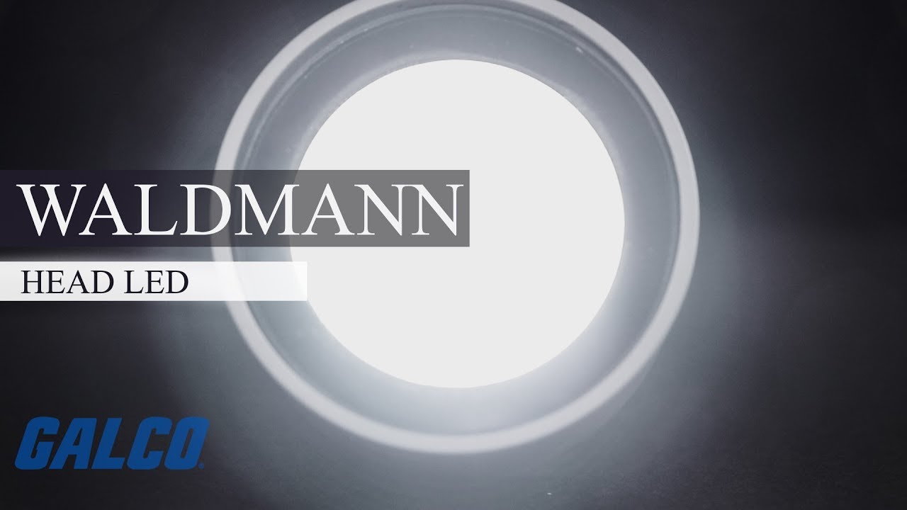 Waldmann Lighting Light Fixtures, HEAD LED Series