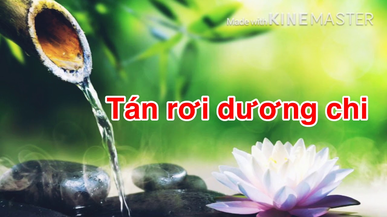 Tán rơi dương chi #Mới Nhất || Nghi Lễ Phật Giáo Huế.