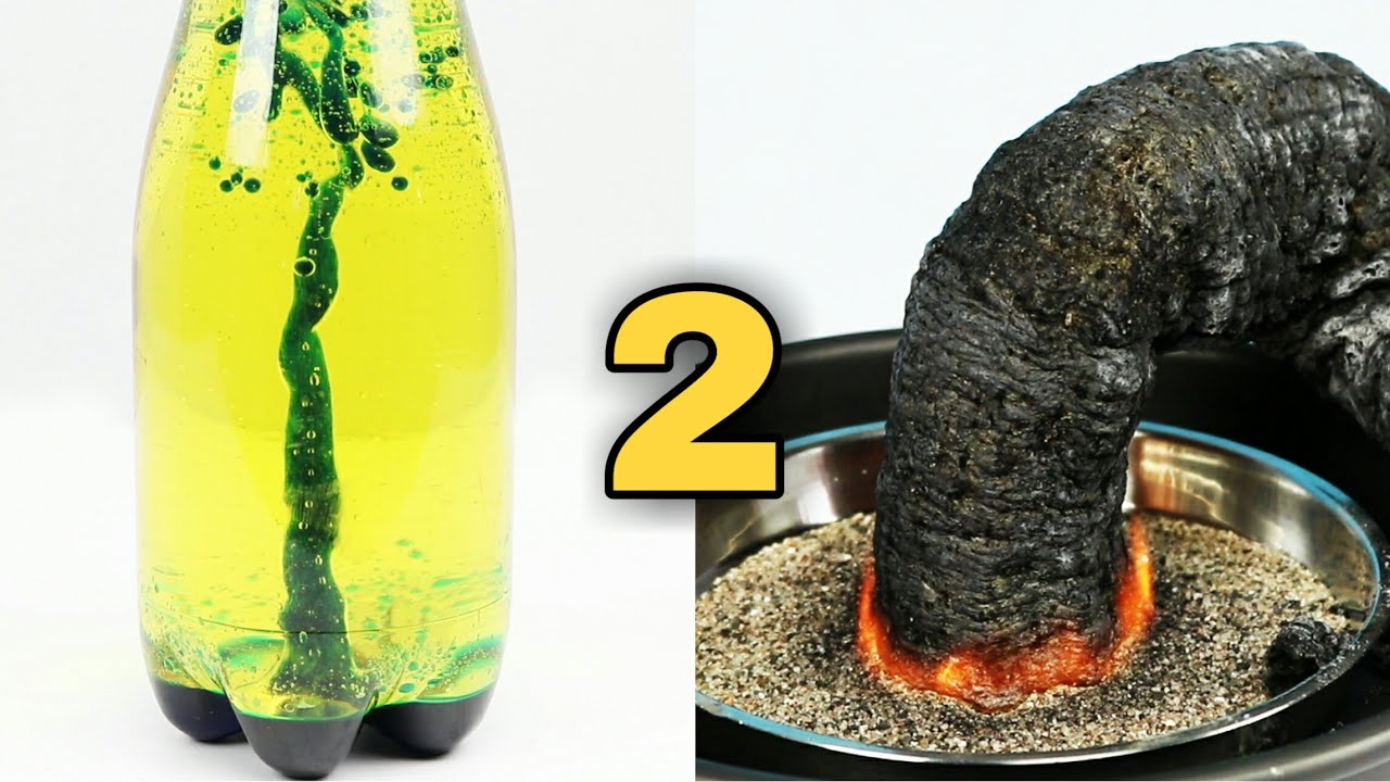 2 Ways You Can Win a Science Competition