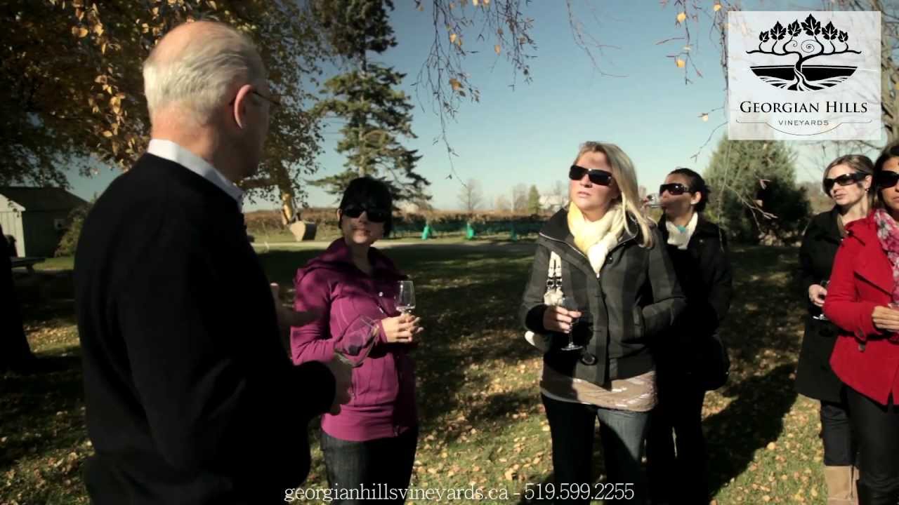 Georgian Hills Vineyards - The Vineyards