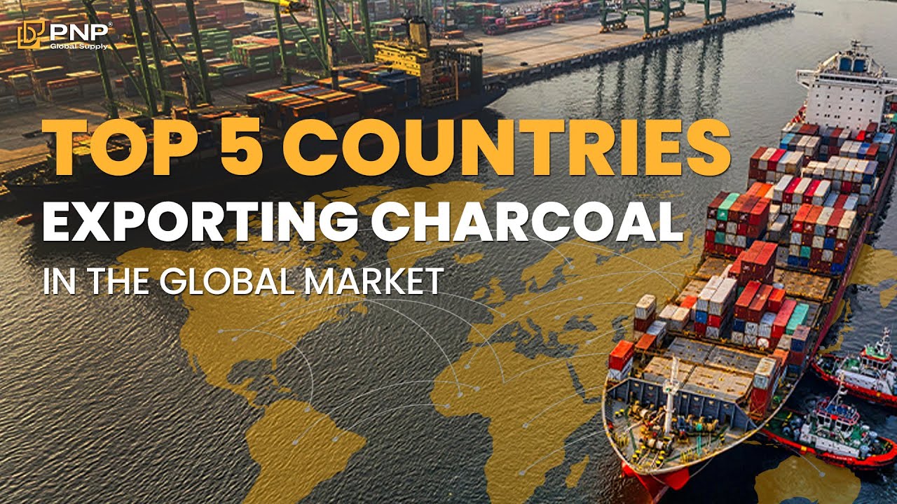 Top 5 Charcoal Exporting Countries in the Global Market #top5