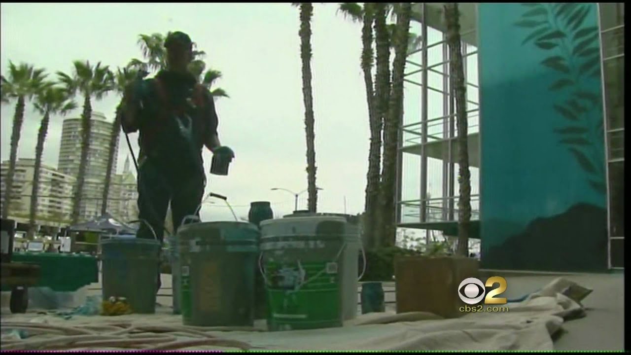 Wyland Paints in Long Beach (KCBS-TV)