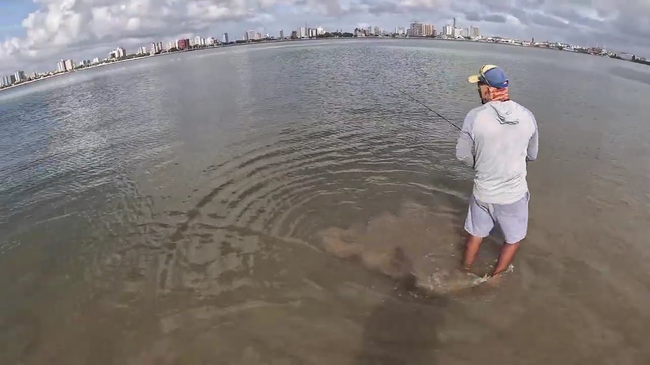 Hoje dia foi da caça