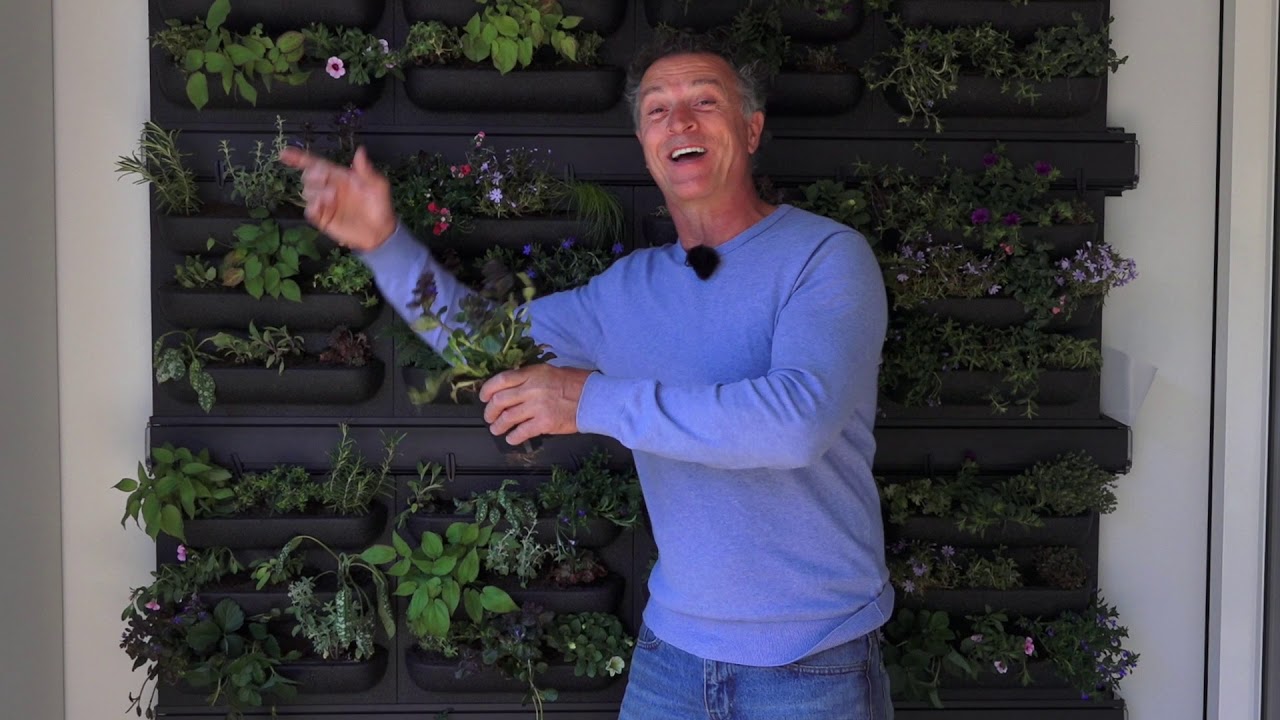 Tuinmanieren: Jurgen Smit installeert groene wand op balkon