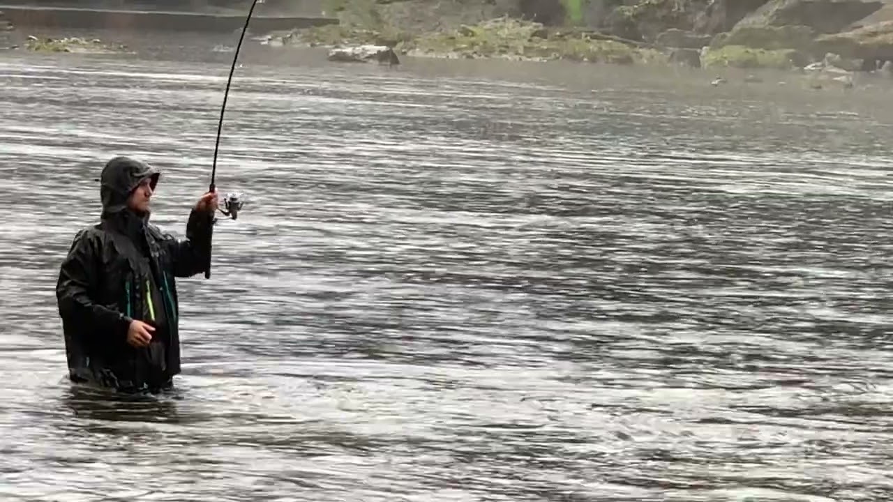 Catching an Early Chinook Salmon Springer on Clackamas River