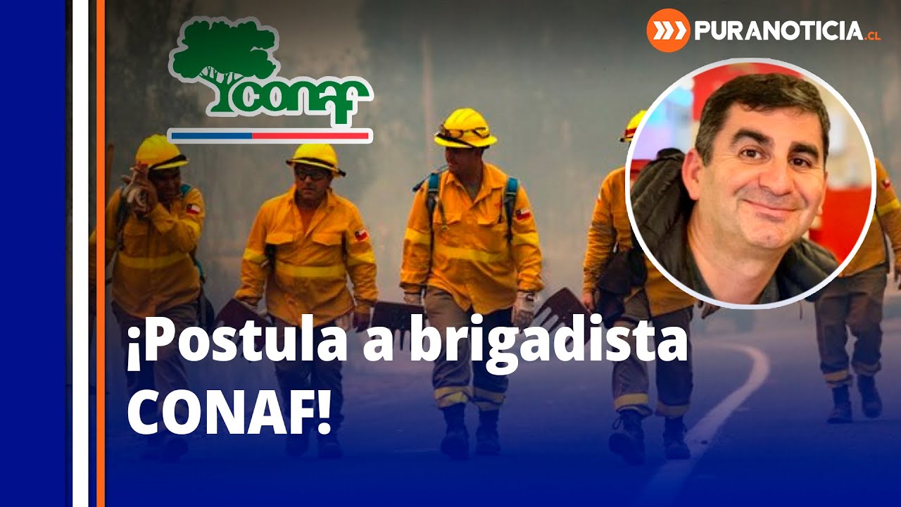 CONAF abre 500 cupos para brigadistas en Valpara&iacute;so: requisitos y c&oacute;mo postular