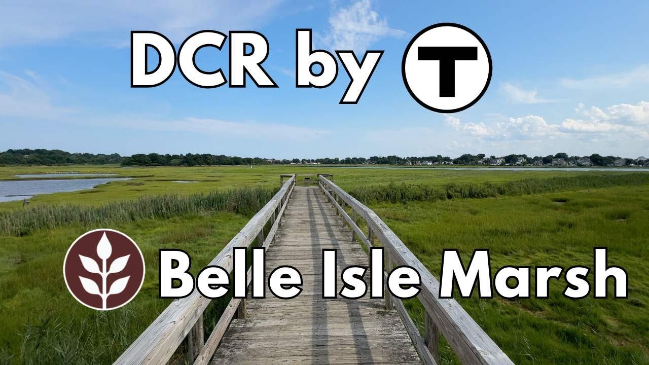 DCR by T | Belle Isle Marsh Reservation