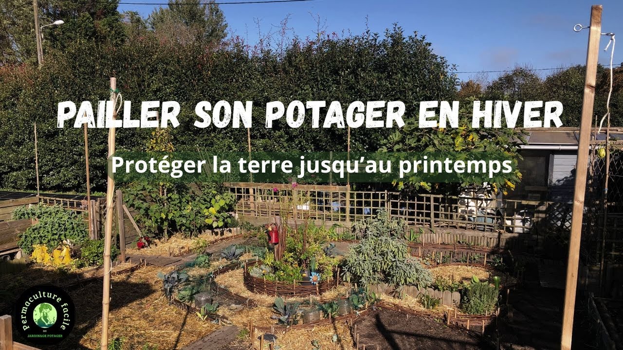 Comment je paille mon jardin potager bio en Permaculture facile