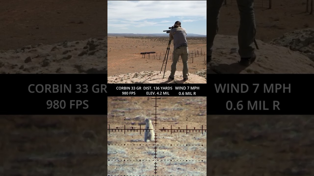 These airguns DESTROY pests! Have you shot varmint with your air rifle?