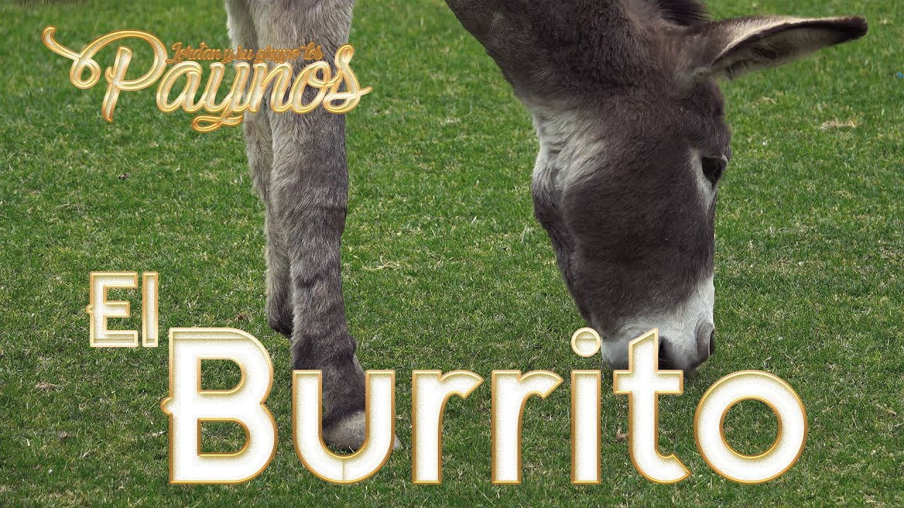 El Burrito   Los Paynos - Jordan y su Grupo Los Paynos