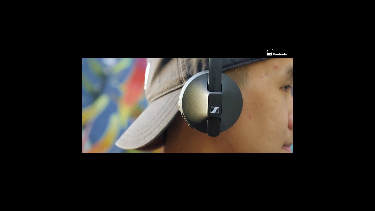 Sennheiser HD 250BT Wireless Headphone - DJ-inspired sound