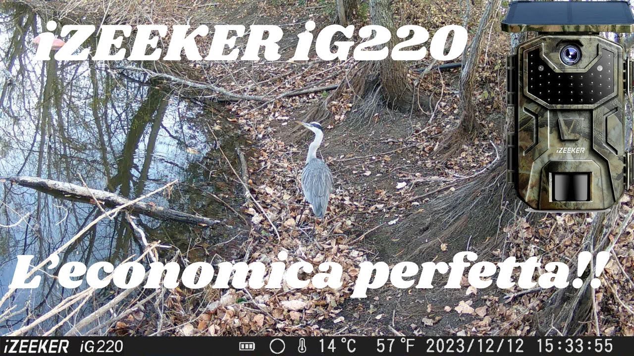 Фотоловушка iZEEKER iG220 – идеальная экономия!