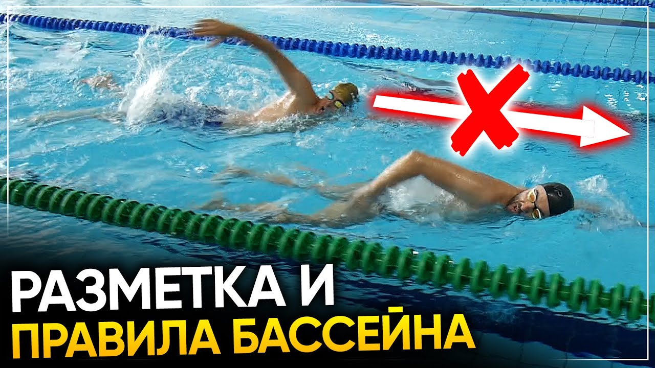 Разметка и правила бассейна - ВАЖНО ЗНАТЬ ВСЕМ!