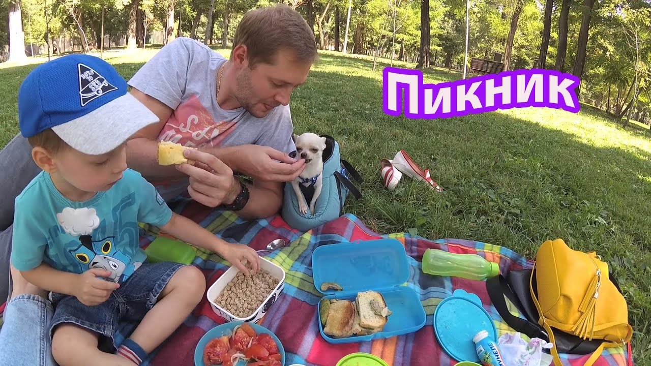 VLOG: Пикник в парке / Покупки из Турции / Воспоминания / Новый стол