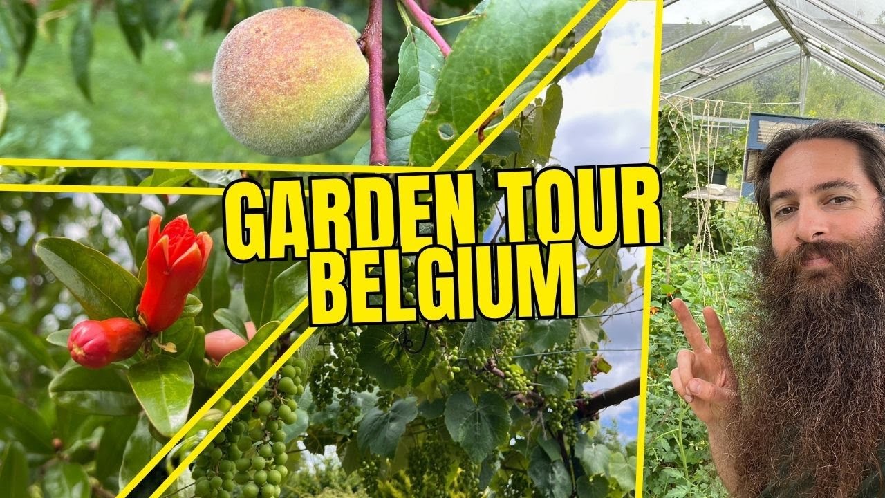 Exploring a Unique Belgian Garden (USDA Zone 8a) and Experimenting with Tropical Plants