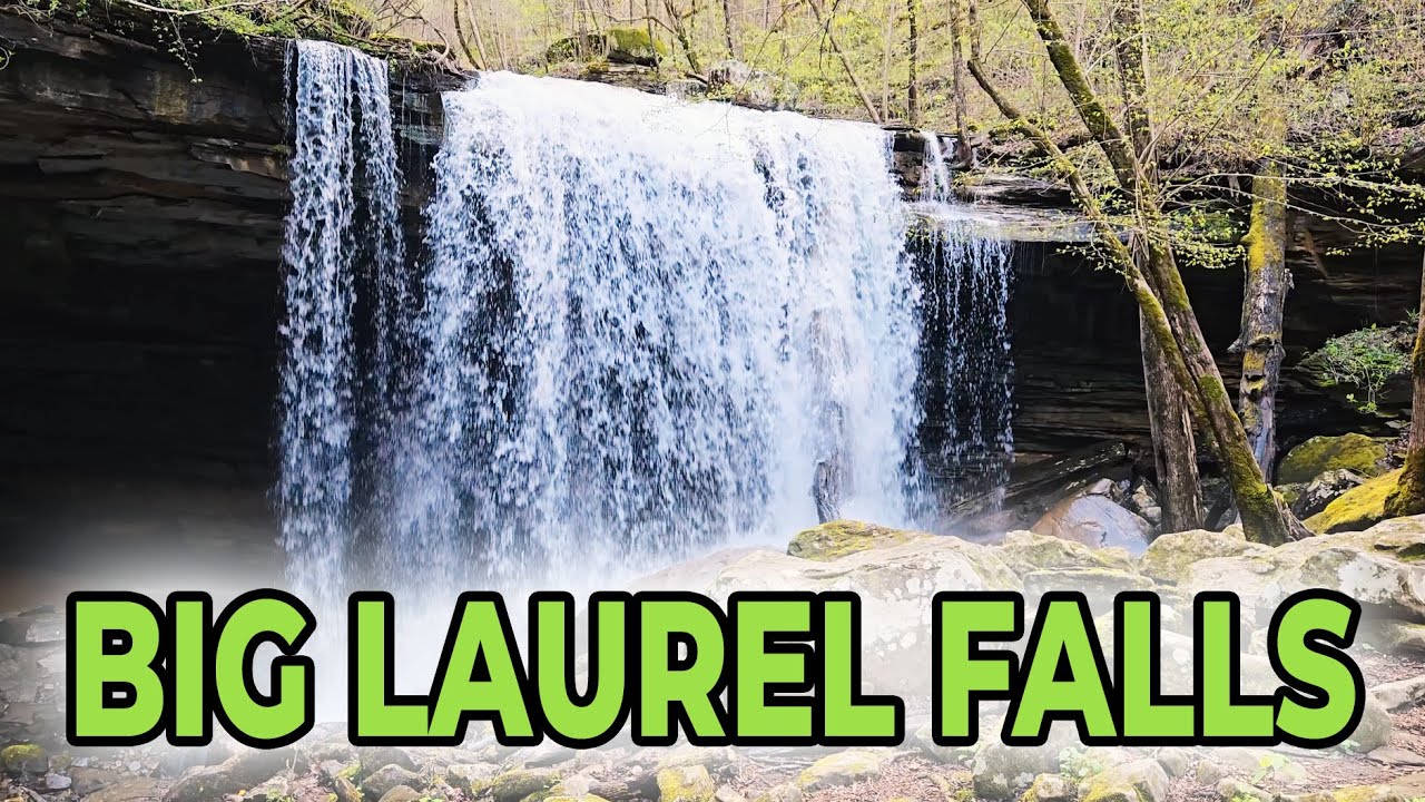 Big Laurel Falls, its Tributaries, and Surrounding Streams - Virgin Falls Natural Area, TN
