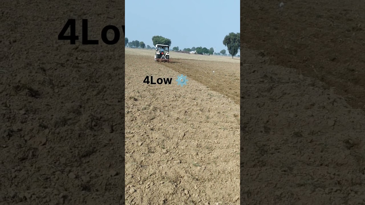 Swaraj 733 Fe Cultivator Performance