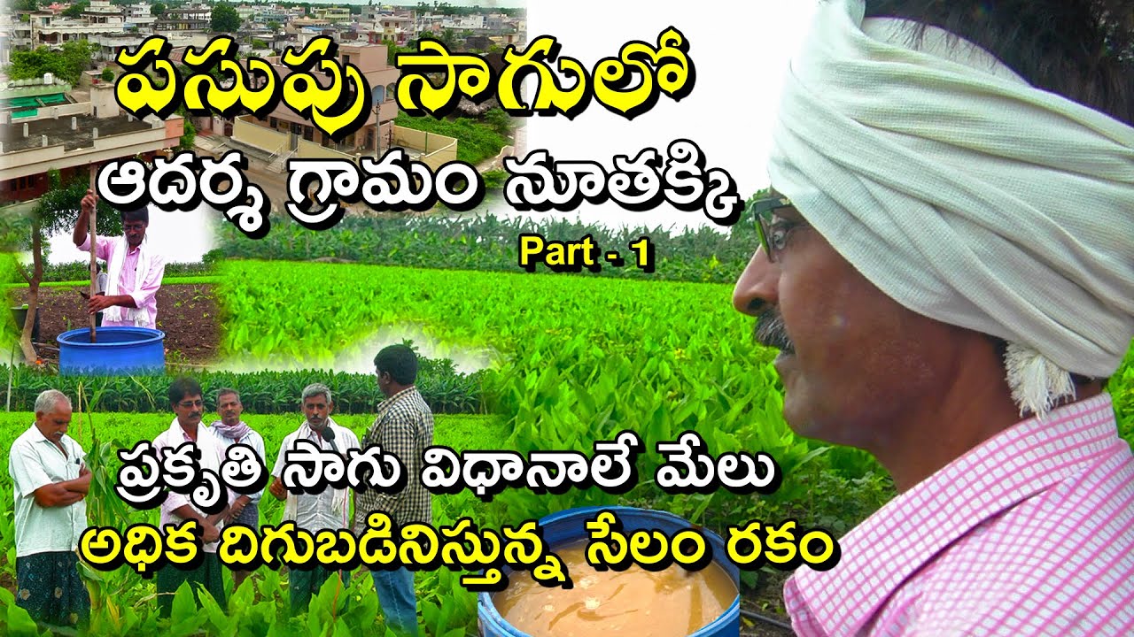 పసుపు సాగులో ఆదర్శ గ్రామం నూతక్కి- పార్ట్-1 || Ideal village for Turmeric cultivation-Karshaka Mitra