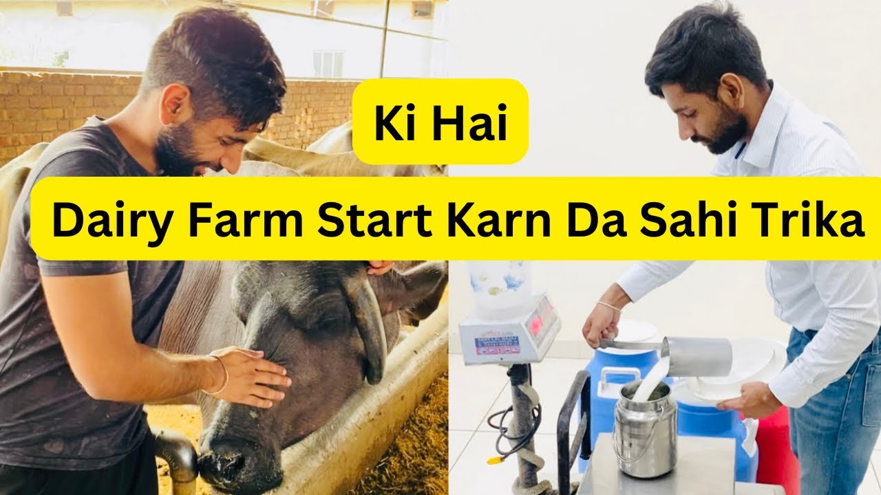 What&rsquo;s the right way to start a Dairy Farm.