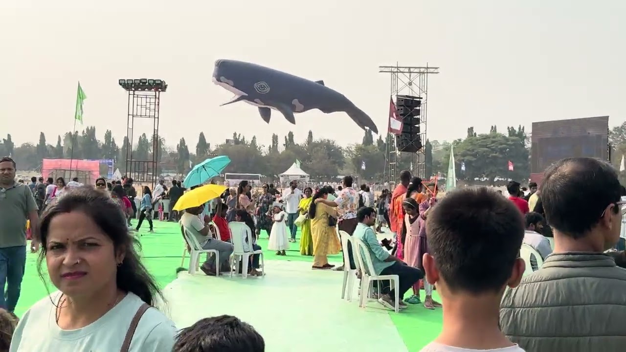 Leijafestivaali