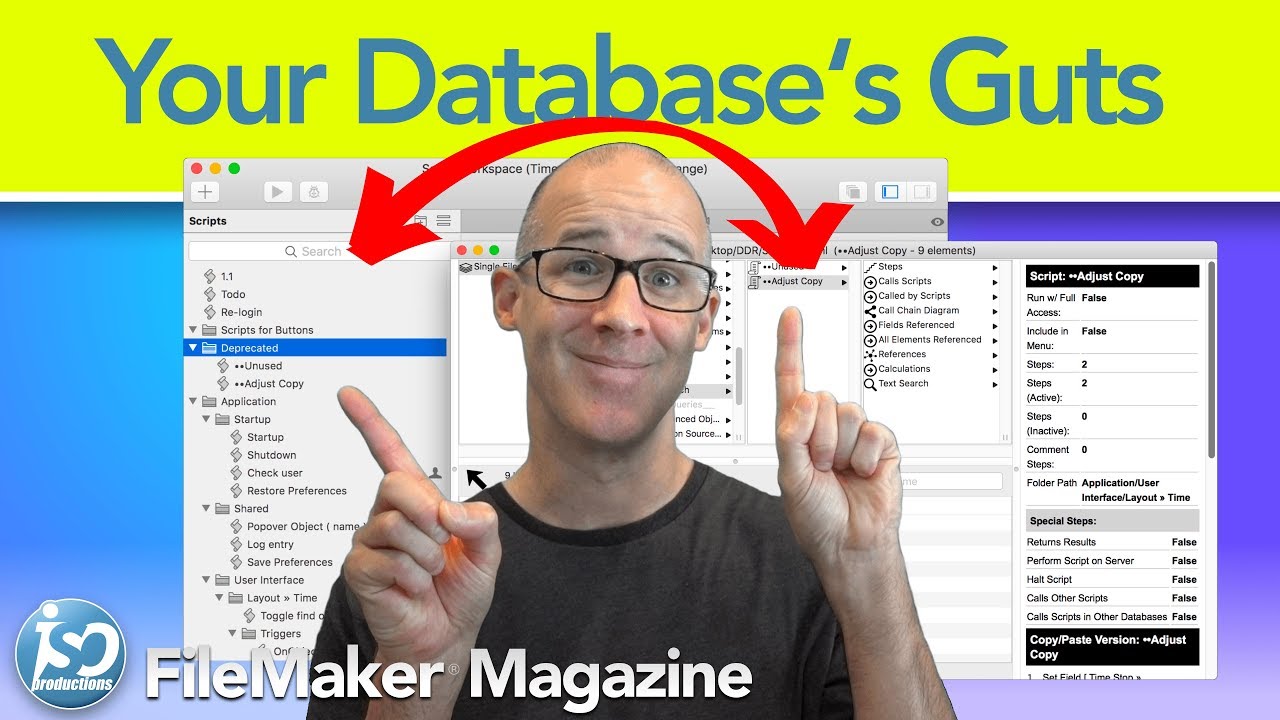FileMaker Database Investigation - Exposing the guts of your solution