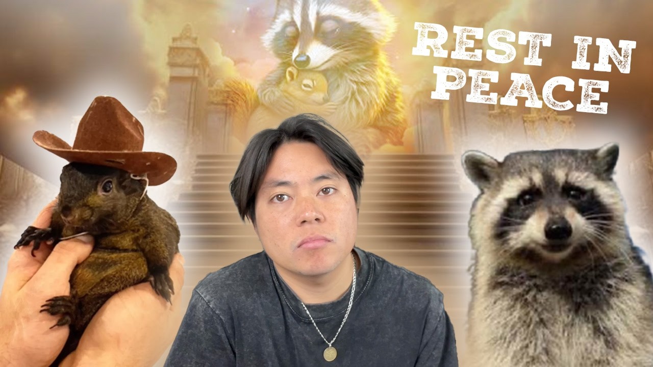 They died for nothing 😢 The wrongful death of viral stars Peanut the Squirrel and Fred the Raccoon