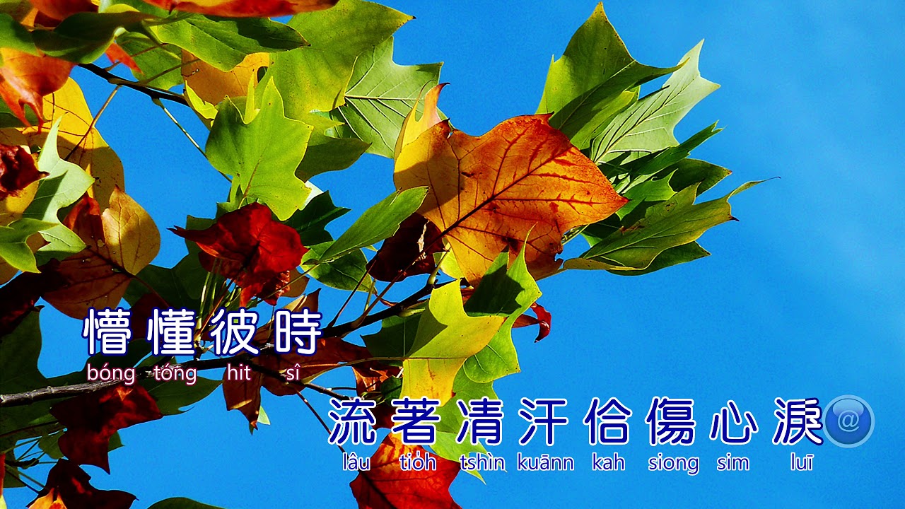 袁小迪~浪子淚  好聽歌曲