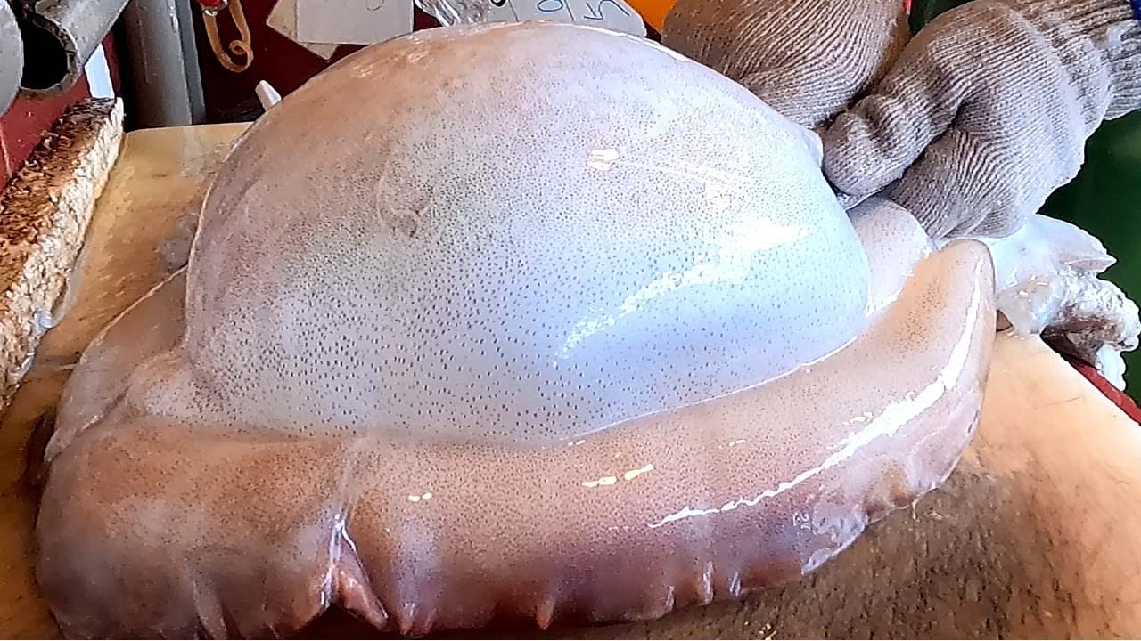 Удивительные навыки резки живых крупных каракатиц - Тайваньский рынок морепродуктов