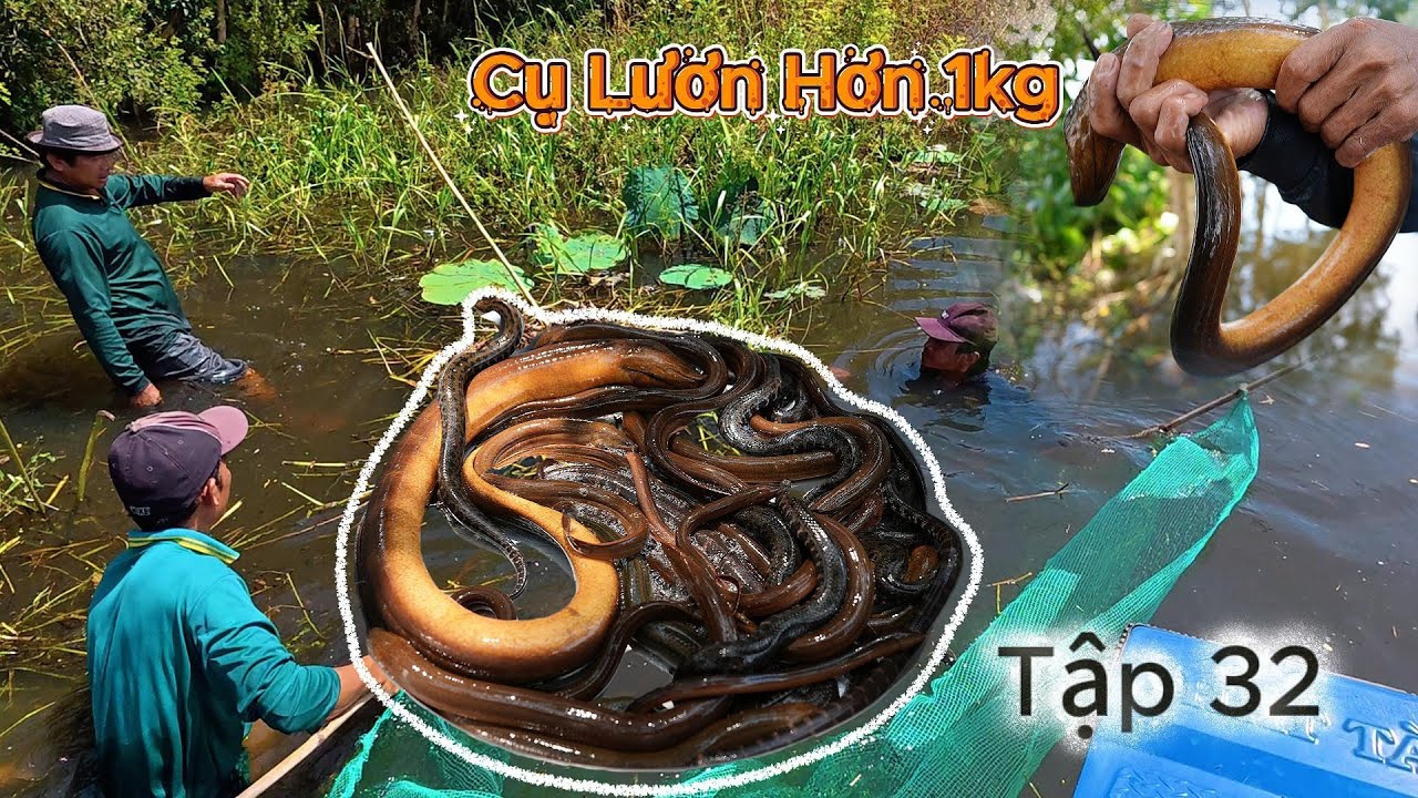 cuộc sống 