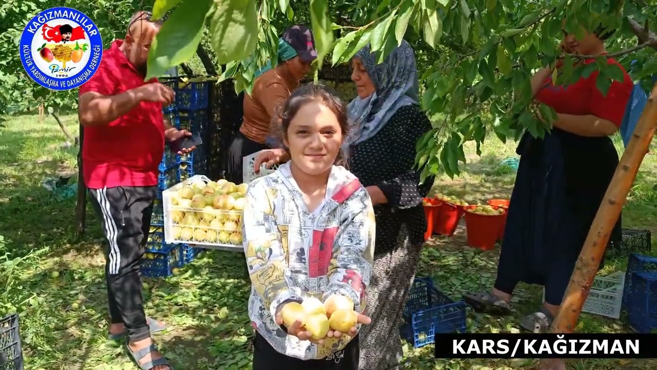 Kağızman Belgeseli