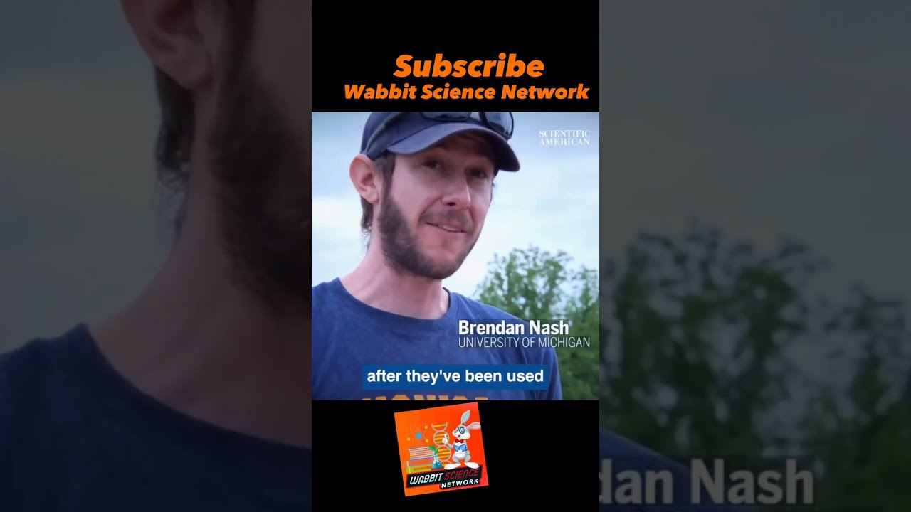 Evidence of Ancient Americans‼️ #science #youtubescience #WabbitScienceNetwork