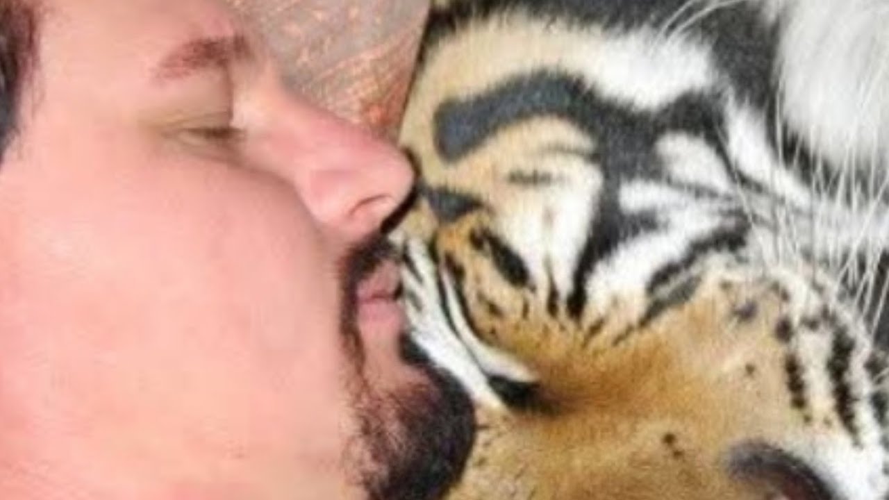 michael jamison is live!  cream time!