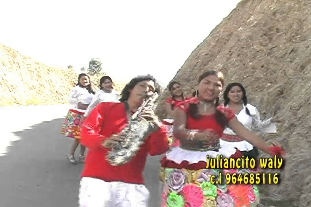 santiago  Mi Juliancito los Walys de Juliancito Huali cl 964685116