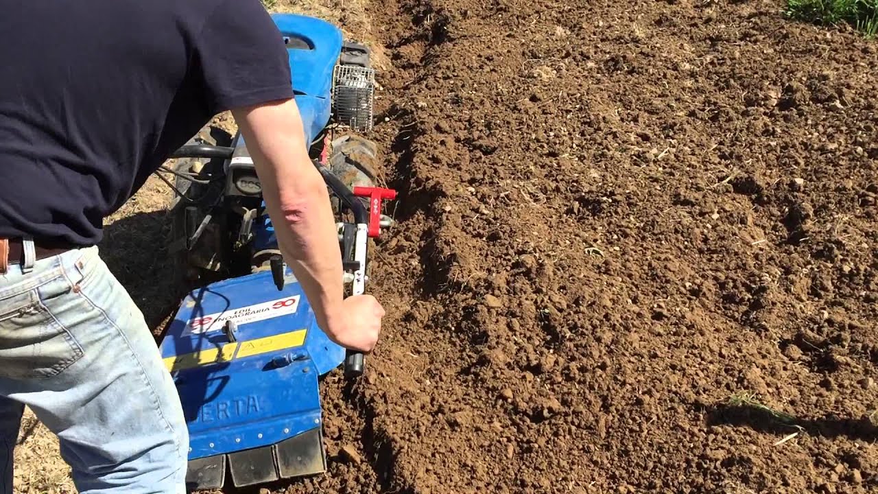 Motocoltivatore BCS 730 con aratro rotativo BERTA - 2