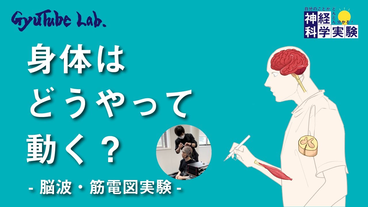 身体はどうやって動く？ -脳波・筋電図実験- 【神経科学実験②】