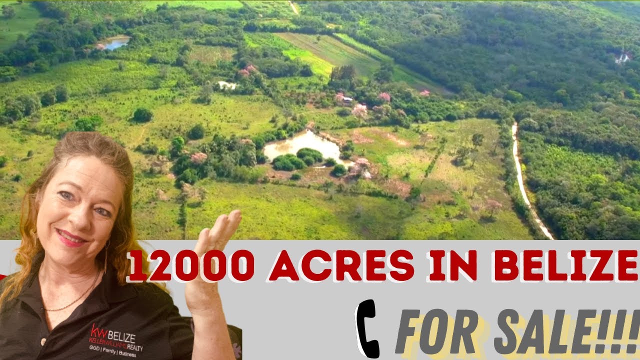 12000 Acres for Sale in Belize Central America   English Version