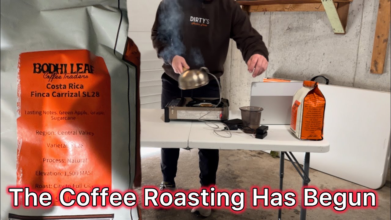 I Roasted Micro Batches of a Costa Rican Coffee | Hive Coffee Roaster