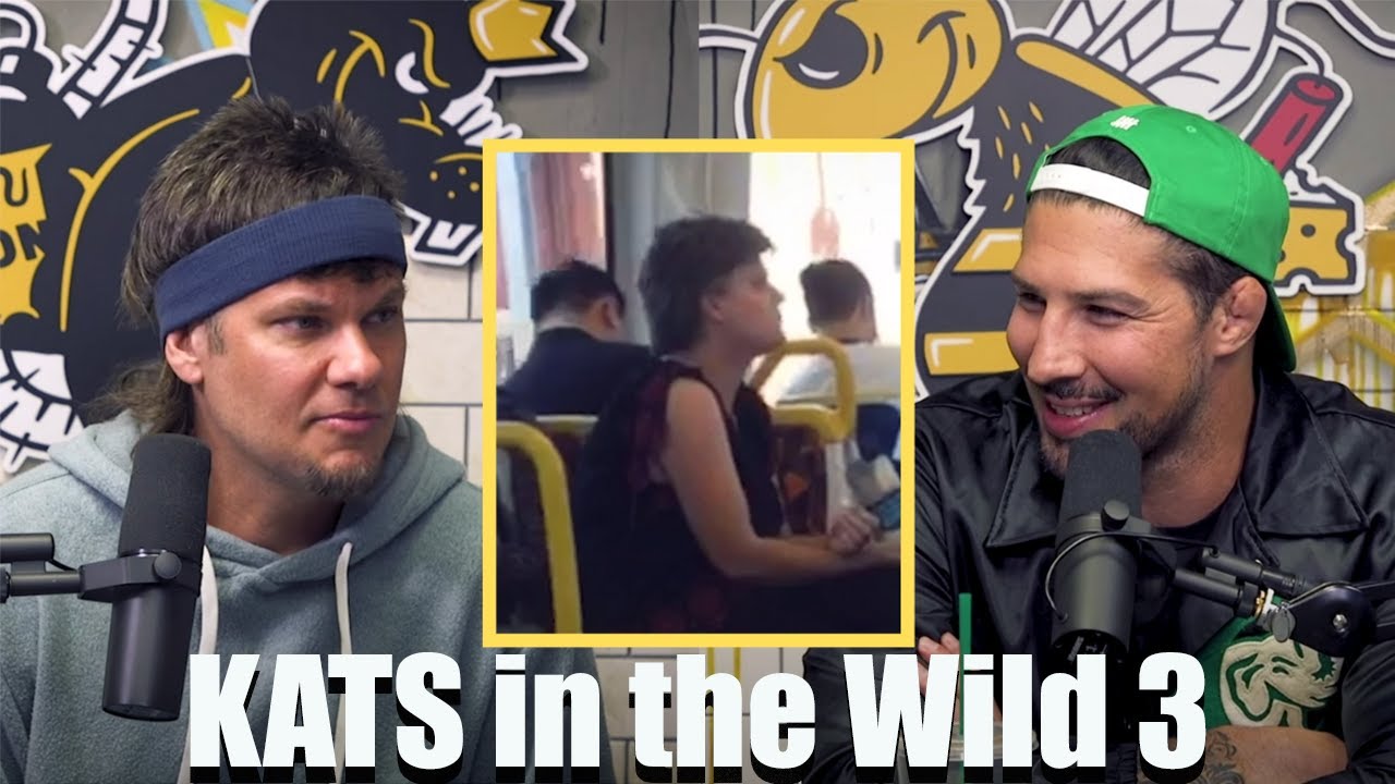 KATS in the Wild 3 | King and the Sting
