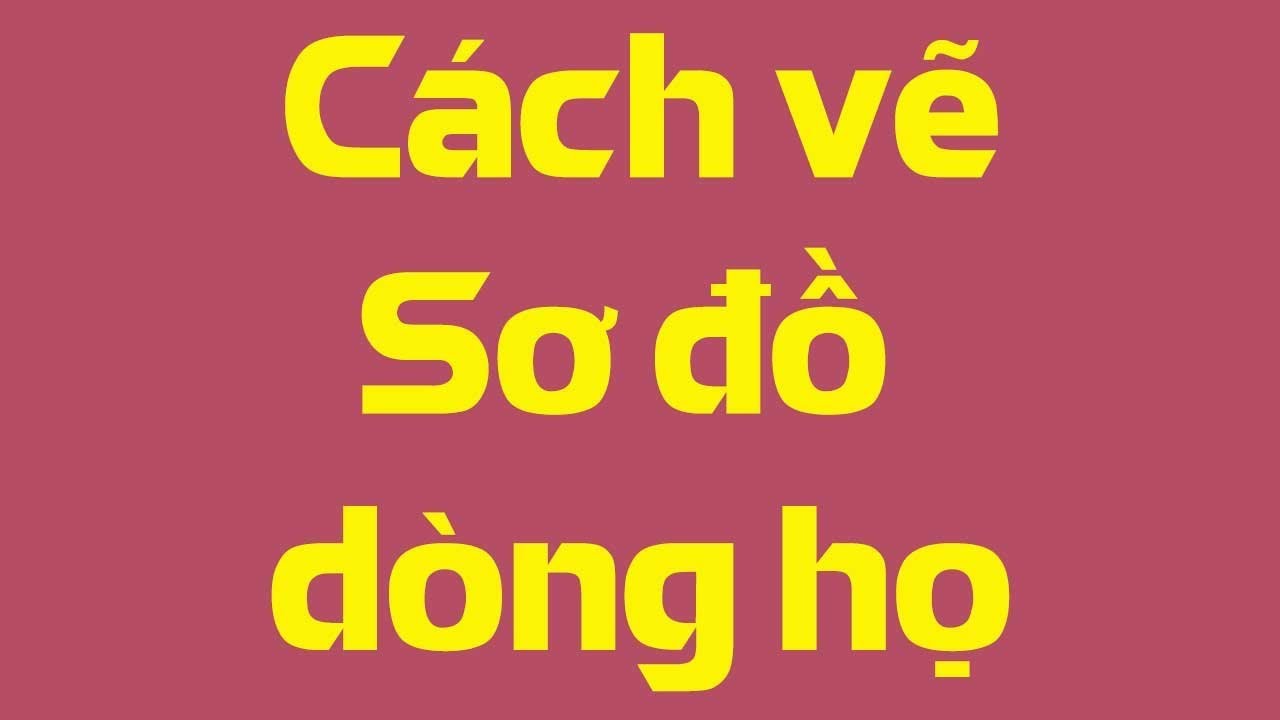 Vẽ sơ đồ dòng họ, Phả đồ và Quy trình thực hiện
